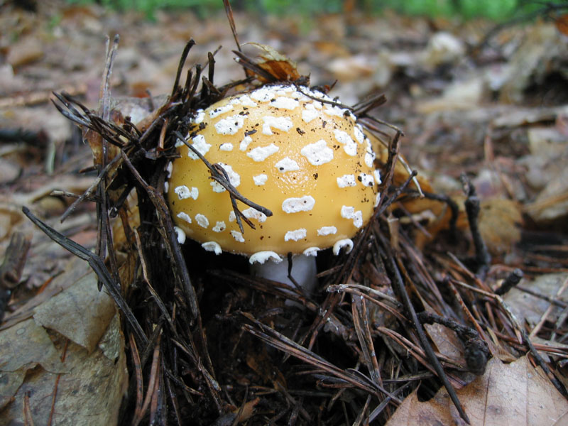 Ritrovamenti del 6 Maggio